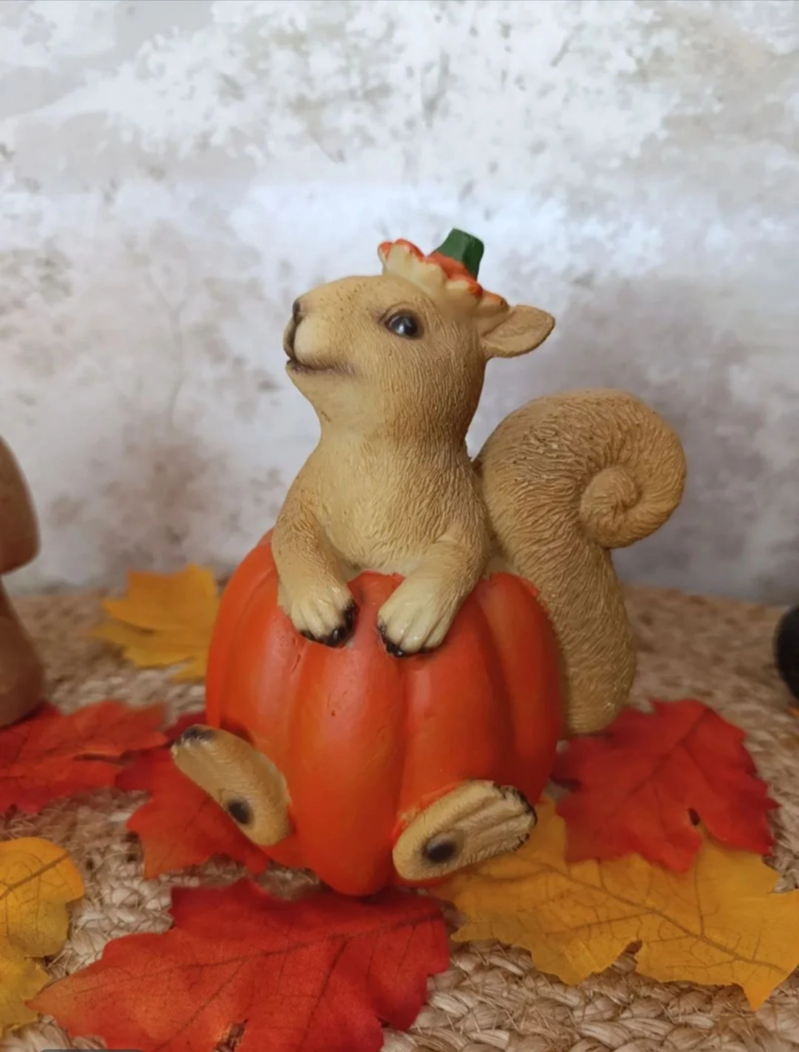Citrouille avec ecureuil – photo 2
